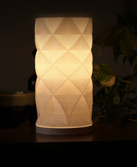 Geometric Faceted Lamp