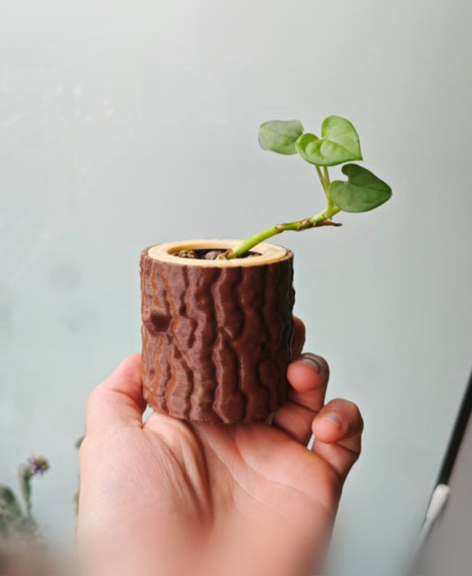Log Planter
